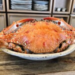 からつ 鮨 笑咲喜 - 
