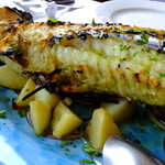 SAKURAGUMI - すすぎのカマ焼き　半身