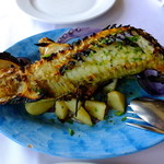 SAKURAGUMI - すすぎのカマ焼き　半身