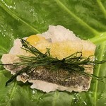 銀座 きた川 - 新銀杏も使われています