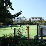 やぶ善 - お店出て、目の前の路地をちょっと進めば、"さくら公園"があります。本日は、近所の保育園が運動会だった様子。