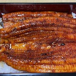 hirudake unajuu Aoto Ten