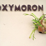 オクシモロン - 