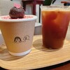 カシノキコーヒー