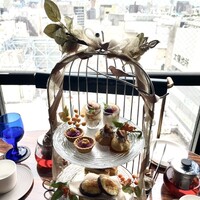 渋谷 Blue bird - 