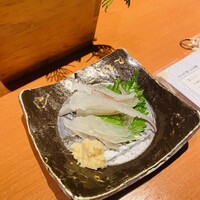 寅八商店 心斎橋店 -  寅八商店 心斎橋店 -