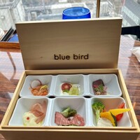 渋谷 Blue bird - 