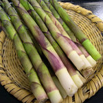 日本料理と蕎麦　冴沙 - 高山村産根曲り竹