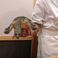 すっぽん ふぐ 日本料理 新宿あぐら屋 - 