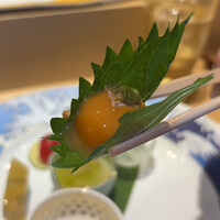 北新地 鮨 栞庵 やましろ - 