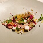 アルカナイズ - 