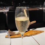 アルカナイズ - 