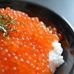 魚海船団 - 