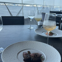 International cuisine subzero - 