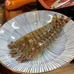 民宿しらい - 車海老 食べ放題・飲み放題 8,800円