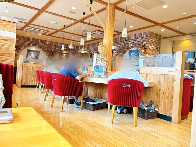 Komeda Coffee Ten Ionmoru Kitaoji Ten photo 4