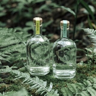 イタリアンカフェぶどうの森_2