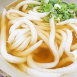 麺紡 - かけうどん