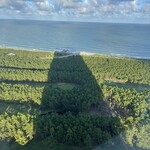 フェニックス・シーガイア・オーシャン・タワー - 