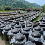 黒酢の郷 桷志田 - 