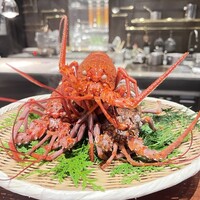 スガラボヴィー - 