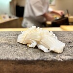 鮨 青海 - 白イカ