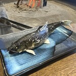 柳家 - 鮎　塩焼き