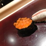 鮨みなと - イクラ