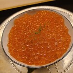 道人 - ⑦新イクラ(北海道産)&舞茸の飯蒸し
      新イクラは走りの時期、道東の沖合いで取れた白鮭の雌から取り出した筋子を解したもの
      つるつるプチプチな筋子解しの新イクラ、正に宝石箱の様な輝き