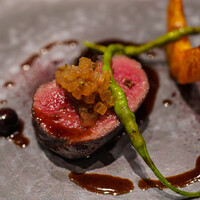 L'Arbre - 
