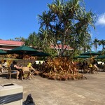Dole Plantation - 