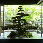 ピエール・エルメ・パリ - 2014年4月　エントランスの盆栽