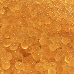 くすのき - いくらシーズンin