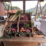 グランピングヒルズ アウラテラス茨城 - 