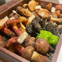 新栄記 東京店 - 