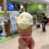 ヤスダヨーグルトショップ - 小ぶりサイズのフローズンヨーグルトアイス✩.*˚