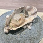 銀座 鮨 桃の木 - 