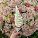 きのとや 新千歳空港店 - 