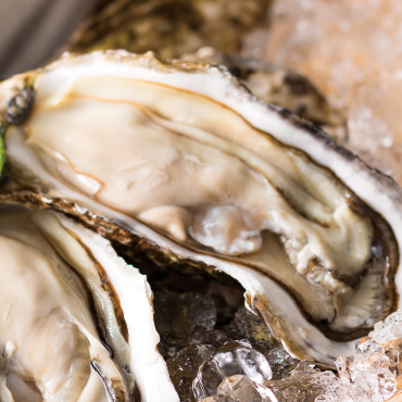 兵庫県産 室津牡蠣(大粒2Lサイズ)