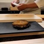 島津 - 大きな鮑に釘付け