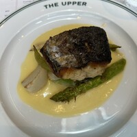 THE UPPER - 