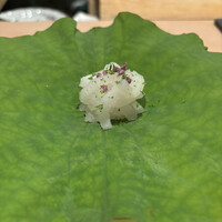 銀座 kappou ukai 肉匠 - 