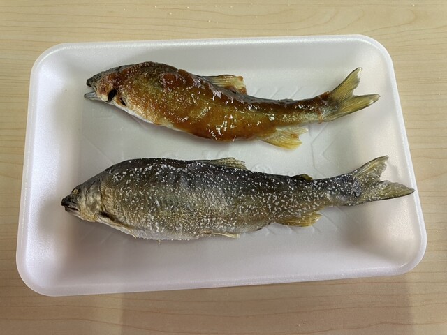 小国川観光 舟形（海鮮）- 山形県の新鮮海の幸を楽しめる絶品レストラン