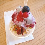 HAKONE DOLCE STUDIO STELLA - 