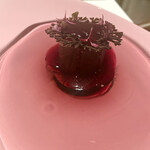 Restaurant Bellustar - 