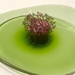 Restaurant Bellustar - 原種カシス　ショコラのパルフェ