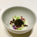 Restaurant Bellustar - 石川県より甘海老♪