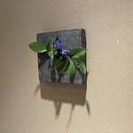 赤坂 島袋 - 先月から気になっている壁の花入　まだ他の方の到着前なのでパチリ