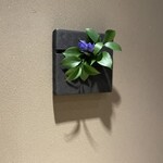 赤坂 島袋 - 素敵