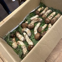 柚木元 - 